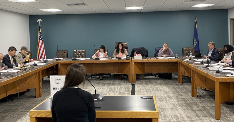 A Democratic-led proposal wants NH Medicaid to cover diapers