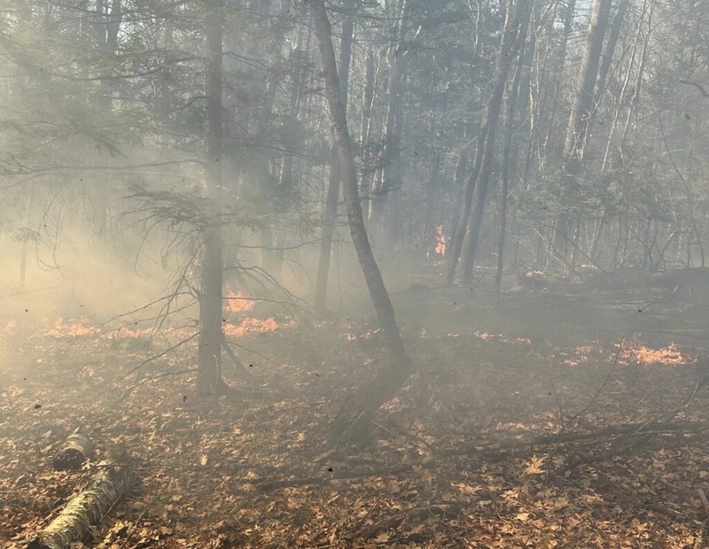Drought raises the stakes of New Hampshire’s relationship to fire