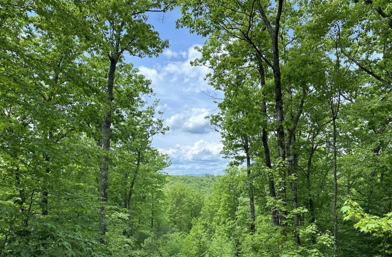 New Hampshire is one of a kind — and that cuts both ways