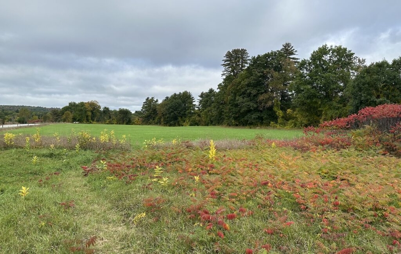 How will AI reshape life in New Hampshire? There are no real words.
