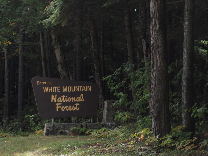 Conservationists want Congress to do more to protect New England’s roadless areas