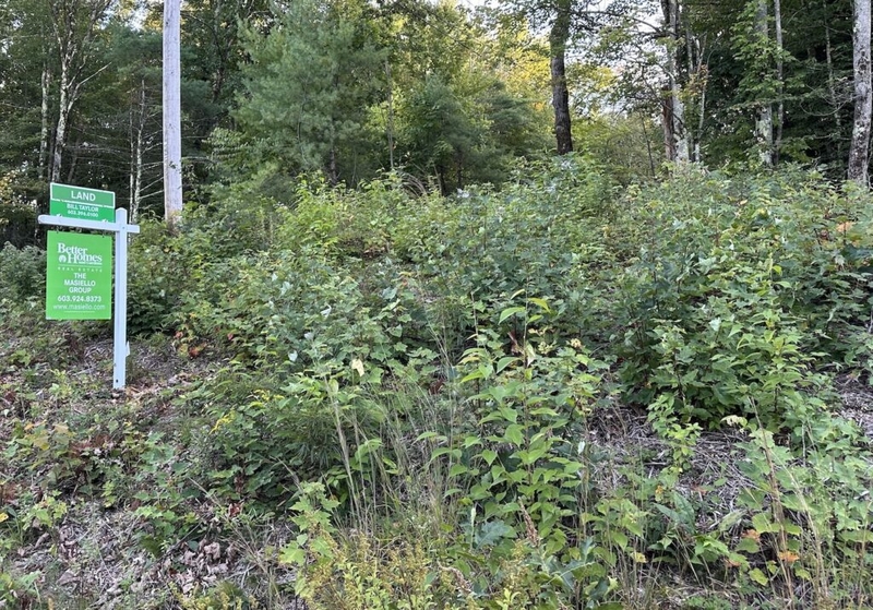 New Hampshire survey shows jump in support for small-lot single-family homes 