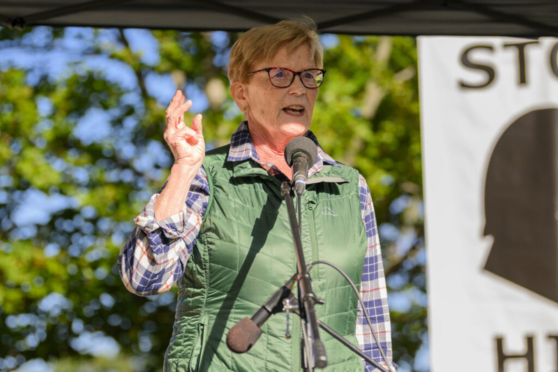 Pingree: Some Republicans are banking on Democrats taking power and reversing GOP cuts