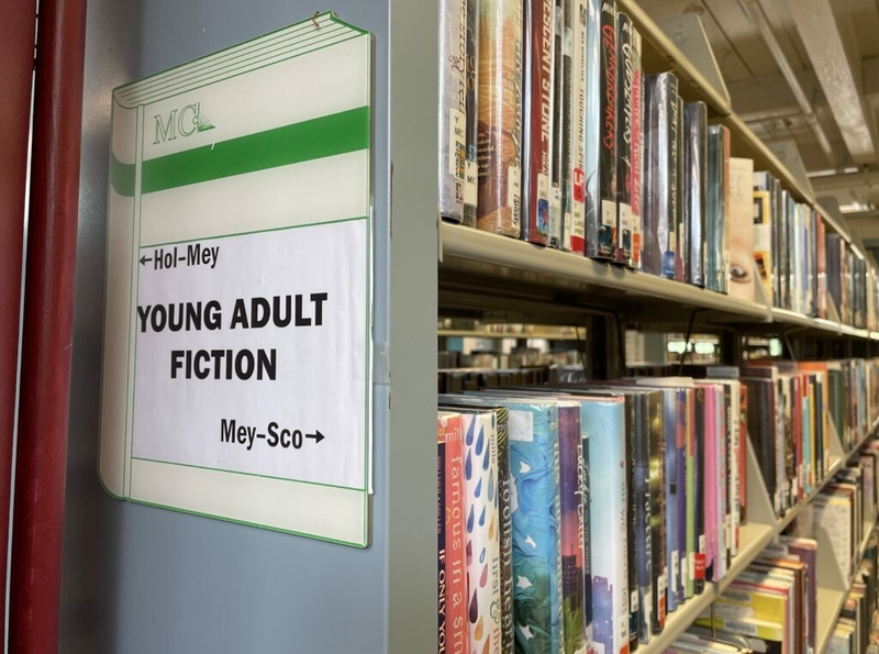 Bill on library book selection clears Assembly panel after four-hour hearing