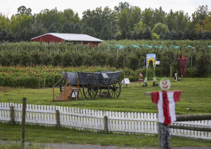 NJ farmers plead for help after April freeze destroyed fruit trees, other crops