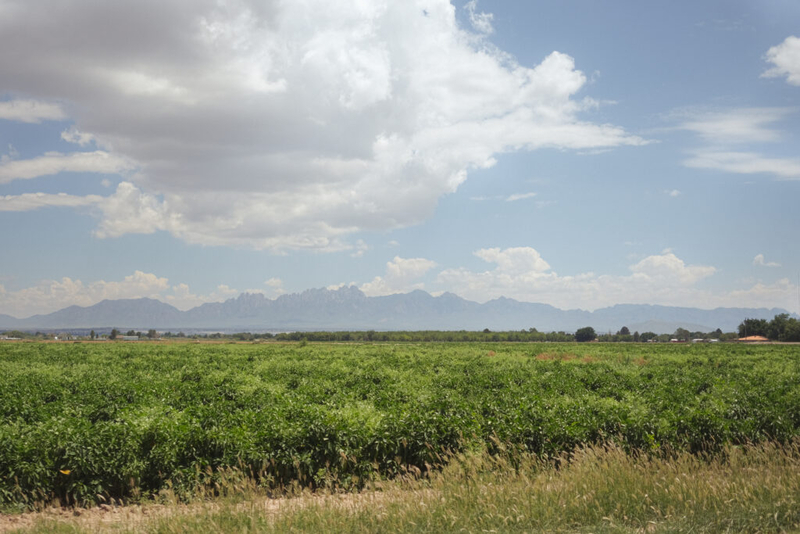 New Mexico lawmakers suggest expanding farm programs statewide to help address at-risk youth