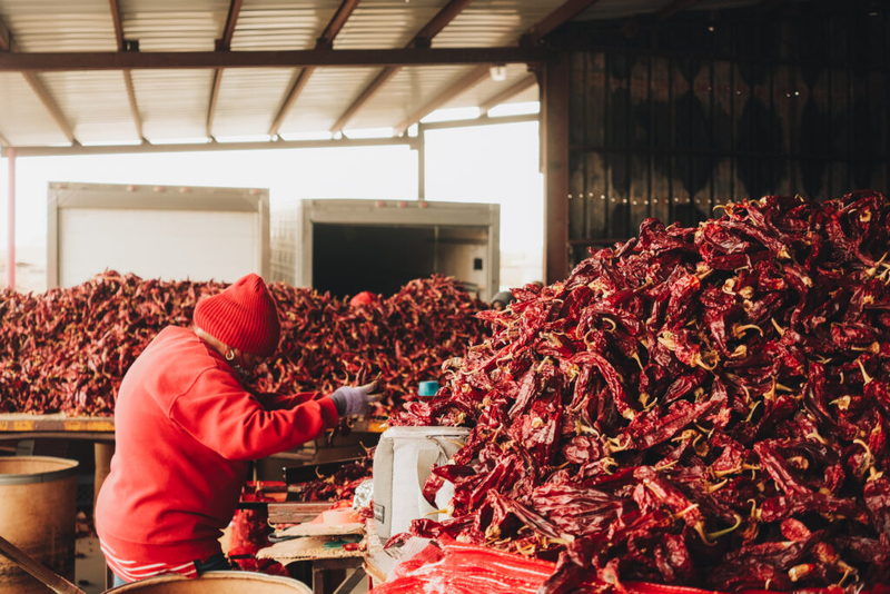 U.S. Sen. Luján’s CHILE Act seeks more federal support for chile, pecans and other specialty crops