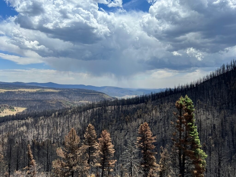 New Mexico sues feds over refusing to reimburse state for $61M in wildfire costs