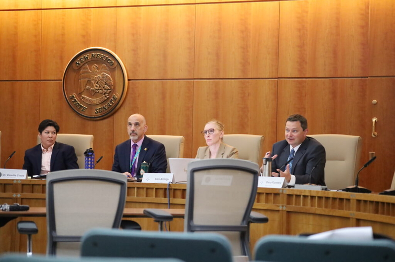 New Mexico behavioral health committee closes in on goal of approving 13 regional health plans
