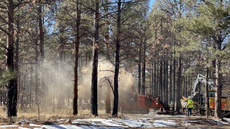 New Mexico’s plan to reduce wildfire risk currently ‘nowhere near enough’