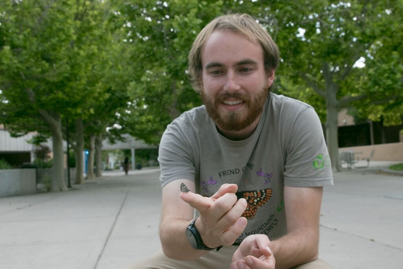 Bugging out: New Mexico insects face significant declines