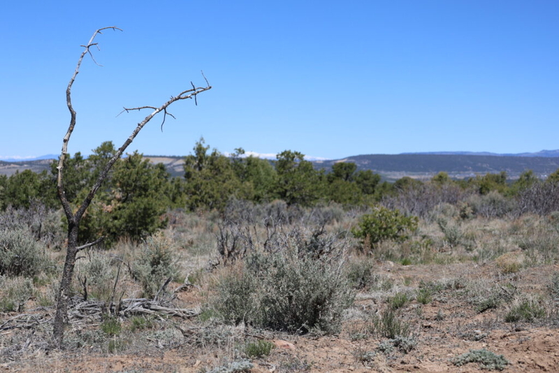 Continental Divide Trail Coalition raises alarm about NM uranium mine impact on hikers, landscape