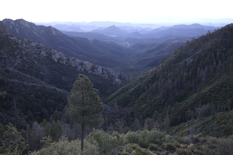 U.S. Sen. Heinrich decries committee’s ‘backdoor’ vote to repeal ‘Roadless Rule’ in national forests