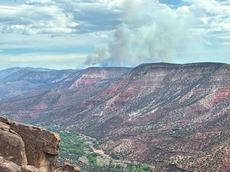 McCauley Springs Fire near Jemez Springs prompts evacuation orders, electric shutoff