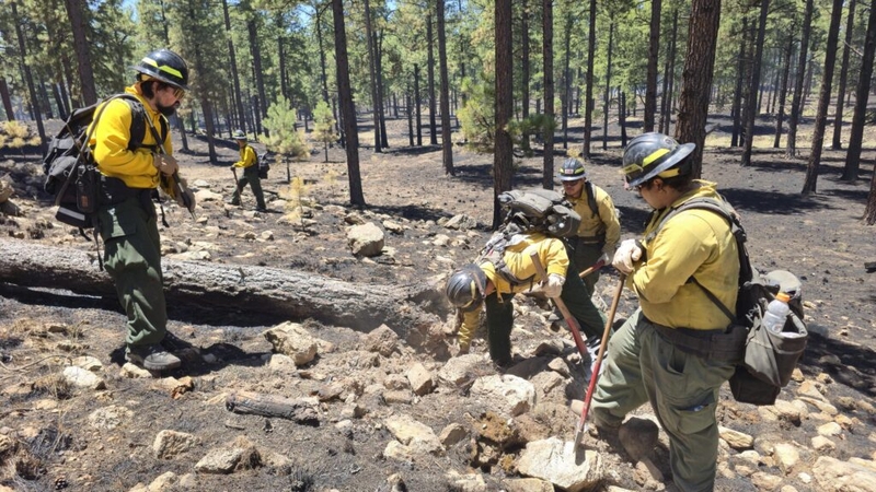 NM governor approves $500K for statewide wildfires, including McCauley Springs Fire in Jemez