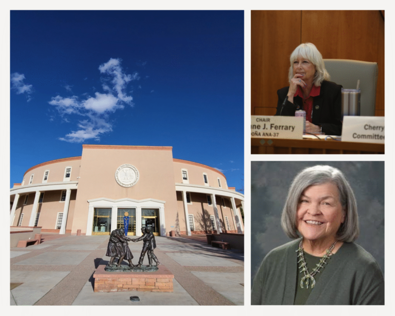 Two New Mexico House members officially retire, teeing up Democratic primary winners to replace them