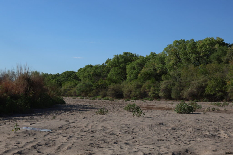 Rio Grande in Albuquerque reaches historic dryness level 