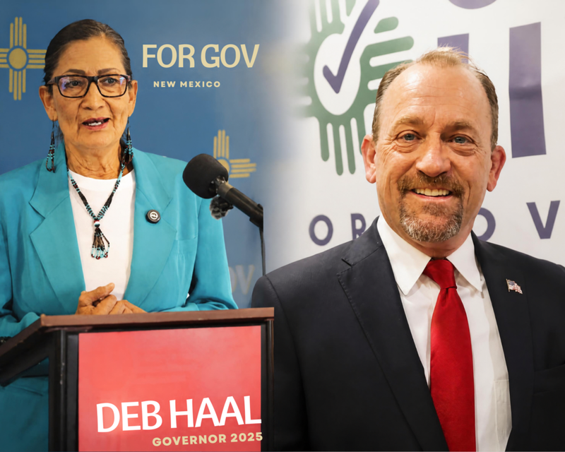New Mexico Election 2026: New Mexico governor