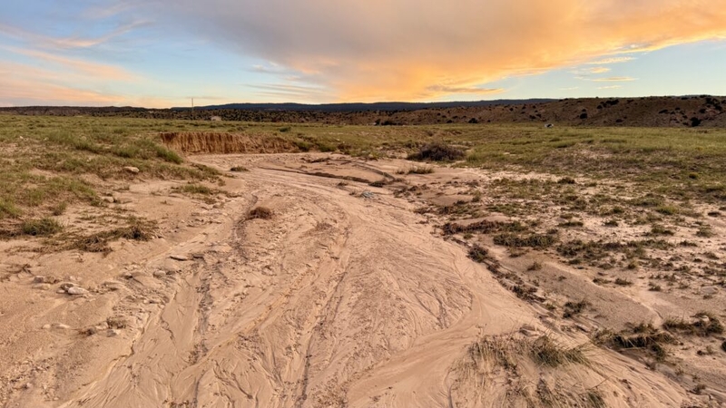 Colorado River stewardship begins in often dry tributaries like Little Badger Wash