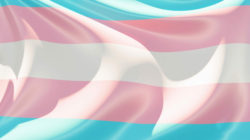 Legislation barring trans athletes from women’s sports introduced in Ohio House