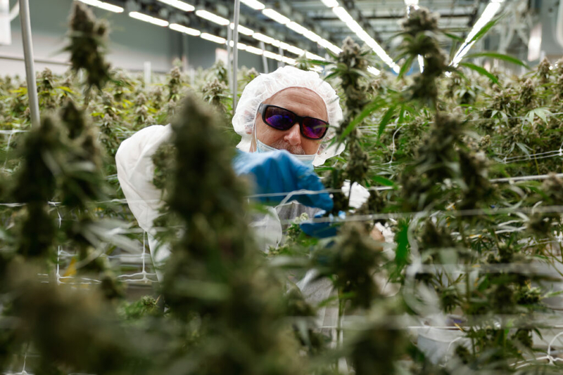 Cannabis advocates remain hopeful about legalization as Ohio Republicans look to make changes