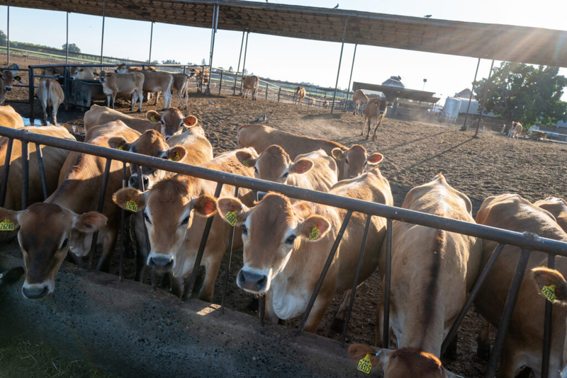 House panel advances drought bailout for farmers around Ohio