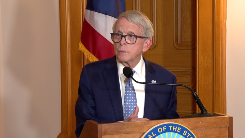 What Ohio Gov. Mike DeWine may veto in the state budget