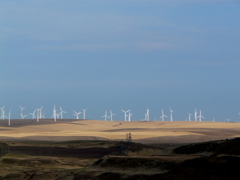 Oregonians favor environmental protection, candidates who will reduce greenhouse gas emissions, survey finds