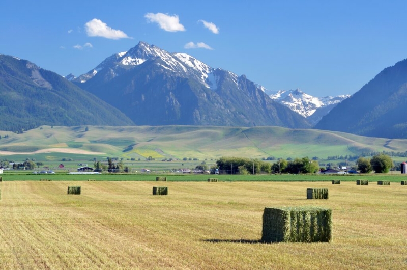 Wallowa County votes for ‘Greater Idaho’ talks, Crook County schedules vote
