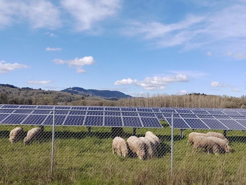 Study finds money poured into rural Oregon under Biden-era programs recently cut by Republicans