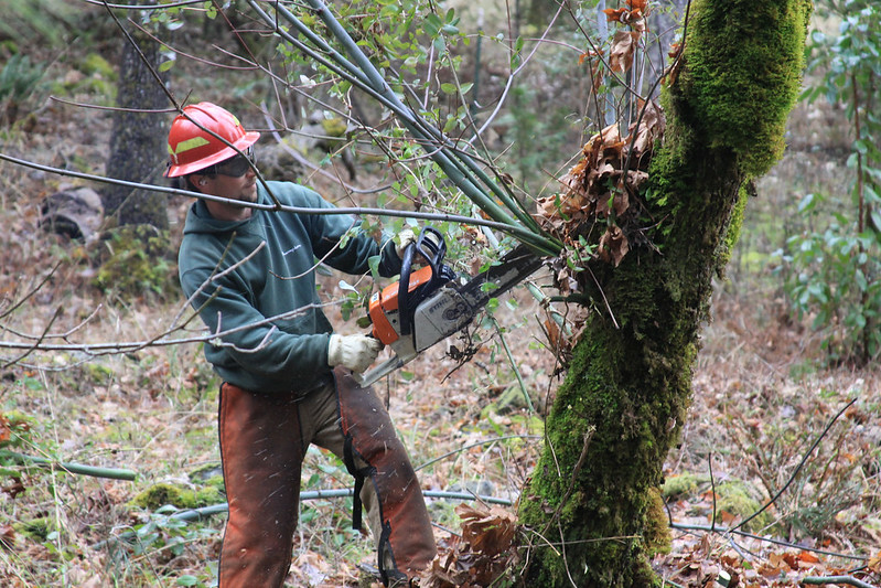 All Oregonians already pay for wildfires, so why should they pay more?