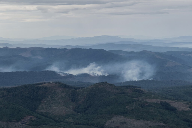 Oregon’s western state forests will see more conservation, less clear cutting under new plan