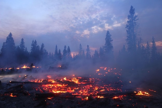 Can AI help Oregon prepare for wildfires?