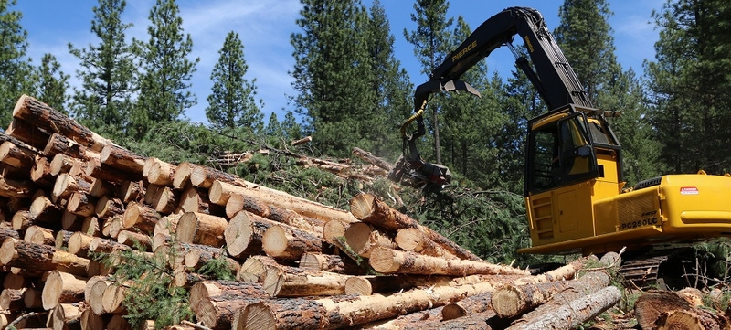 Feds propose opening millions of acres of western Oregon forests to 1960s logging levels