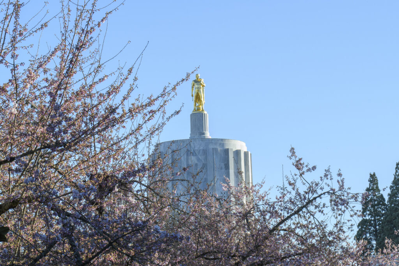 Lawsuit could undo Oregon’s ban on excessive out-of-state interest rates