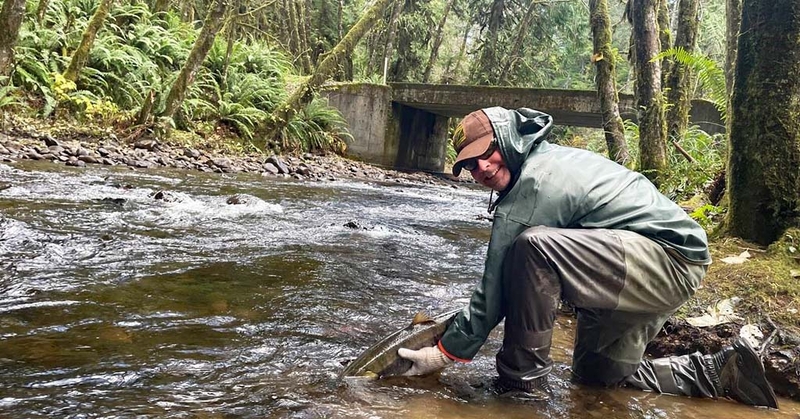 BPA abruptly pulls funding from Columbia River fisheries program