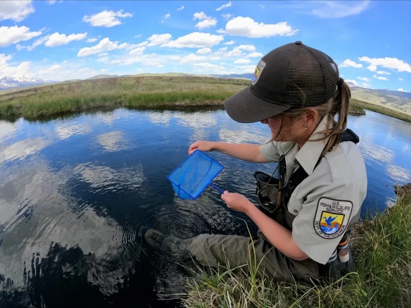 U.S. Fish and Wildlife staff down more than a third nationwide, 40% in Oregon since Trump 2.0