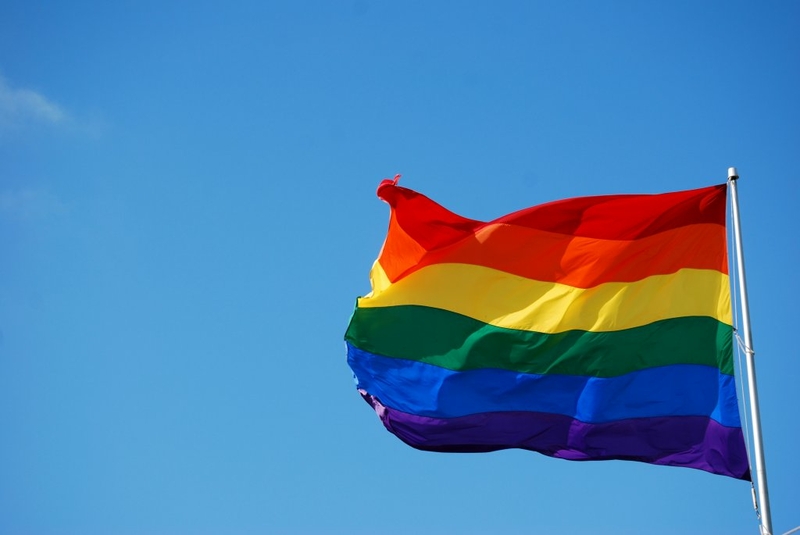 Stop calling it a choice: Biological factors drive homosexuality | Opinion