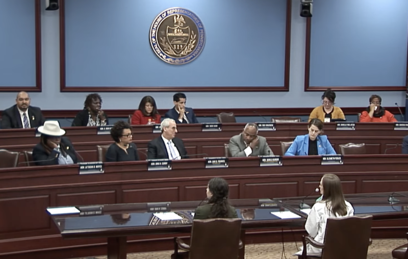 House Dems hold hearing on expanding access to reproductive health care