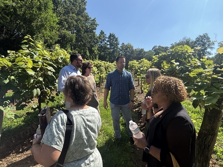 Pa. wineries turn to lawmakers for legislation to protect the industry