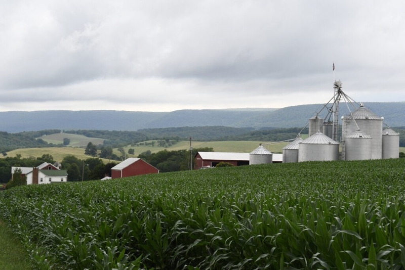 Farmers’ use of food processing waste will be regulated under new Pa. law.