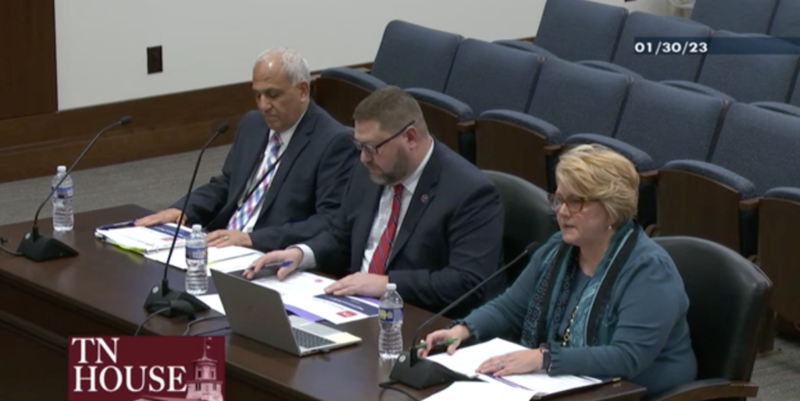 GOP lawmaker: TBI is investigating current and former DCS employees