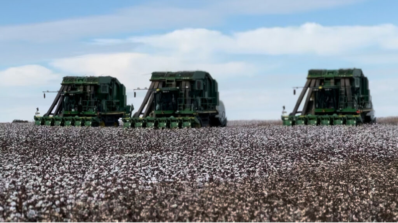 1,500 TN farmers who experienced USDA loan discrimination receive federal grants