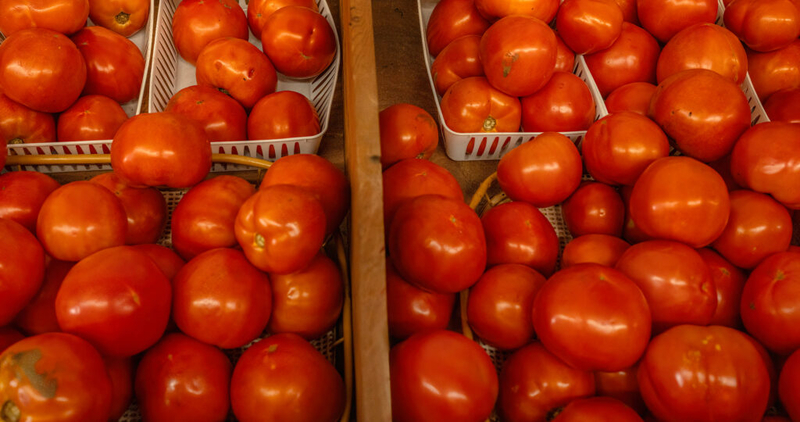 Tennessee schools still miss farm-to-school grant eliminated in 2025 as USDA rolls out new programs