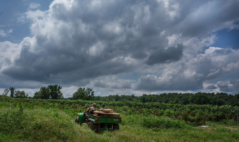 Gov. Lee extends off-road diesel enforcement relief for farmers, loggers through Dec. 31