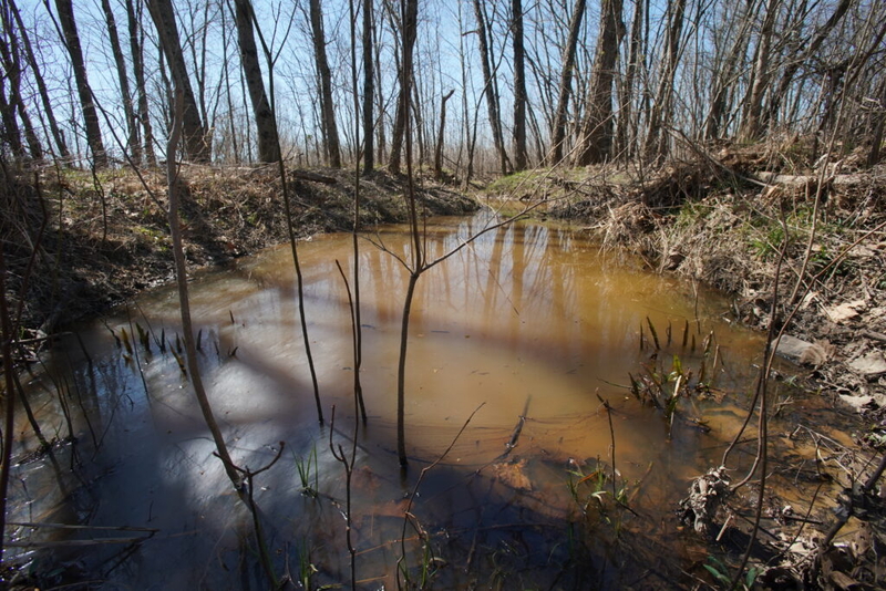 Under new EPA rule, protections would dry up for wetlands in Tennessee, Mississippi River basin