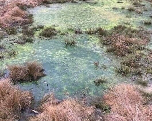 Senate advances bill seeking greater accountability for failing wastewater systems