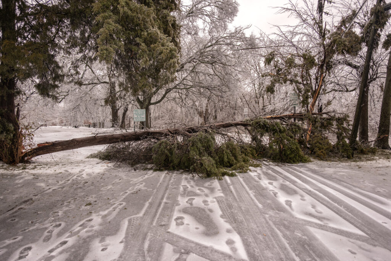 FEMA payouts for Tennesseans affected by winter ice storm surpass $36 million
