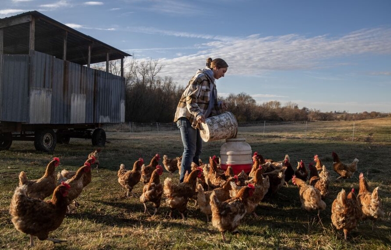 Novice farmers face big challenges making it in today’s ag sector