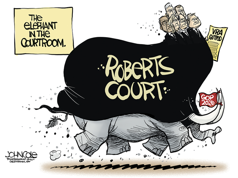 John Cole’s Tennessee: The elephant in the courtroom